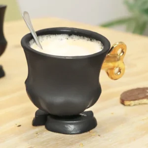 Robocup Jasmin Djerzic; House of Otoko