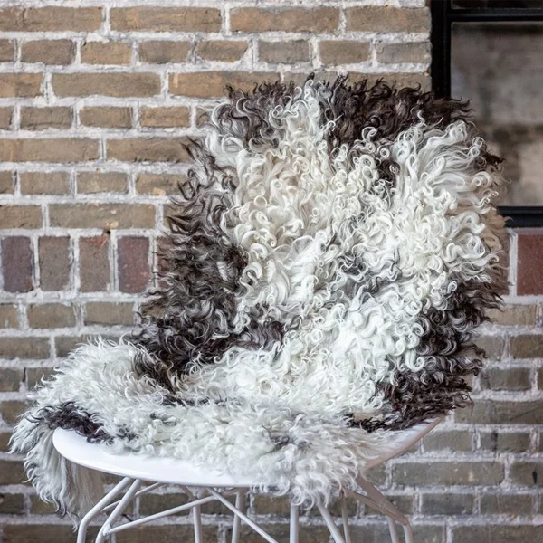 Lambskin with curly wool - Image 2