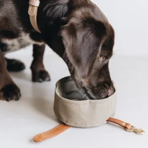 drinkbak hond opvouwbaar