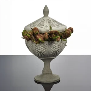 Serax - Bonbonnière 01 Concrete Josephine